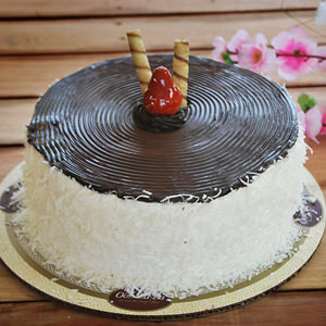 Boston con Coco Rallado